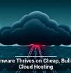 Ransomware Thrives on Cheap, Bulletproof Cloud Hosting